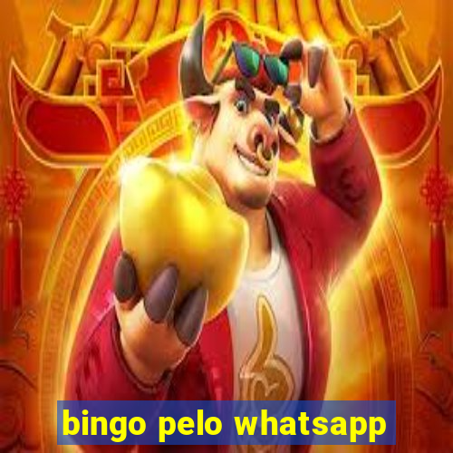 bingo pelo whatsapp